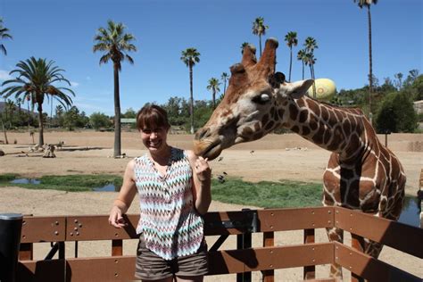 This service helps you to learn and to love animals. Get Wild This Summer: Visit One of Michigan's Many Zoos ...