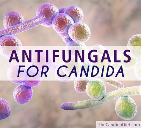 Antifungals For Candida The Candida Diet