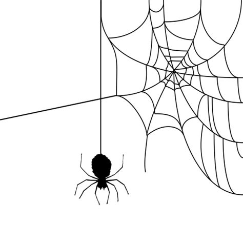 Story Weekend: Spiders - Diane Chamberlain