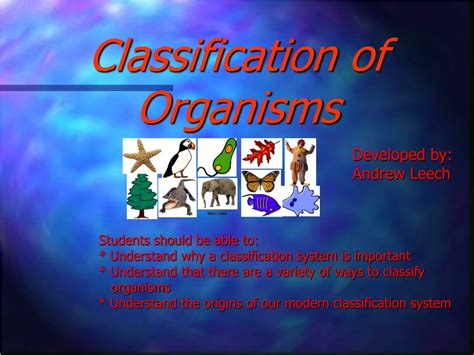 Ppt Classification Of Organisms Powerpoint Presentation Free