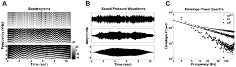 Spectrograms A And Sound Pressure Waveforms B Of Three Different