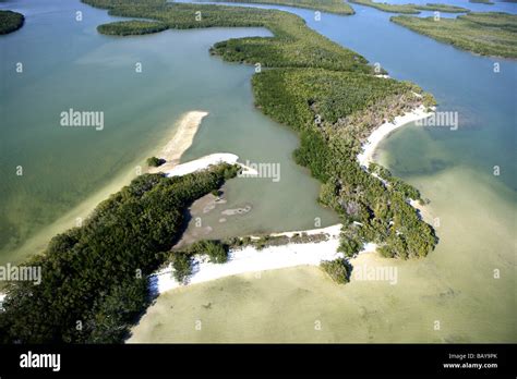 Aerial View Of Mangroves At Ten Thousand Islands National Wildlife