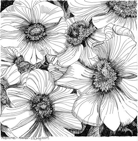 Pin By Artigianale On Анемоны Drawings Flower Drawing Art