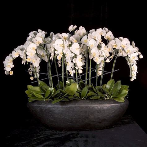 Faux Phalaenopsis Orchid Arrangement In Oval Vessel Orchid Arrangements Phalaenopsis Orchid