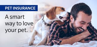 The healthy paws dog insurance plan covers your dog's veterinary bills for new injuries, illnesses, emergencies, genetic conditions and much more healthy paws is the best insurance you could have for your pet. Making life insurance simple to understand. At Farmers, we believe you deserve simple answers to ...