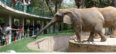 🎫 Barcelona Zoo: Buy Tickets Online | €19.90 | Skip the line