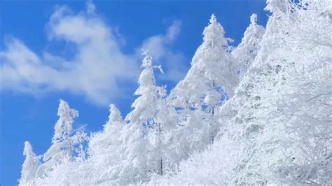 Blue Sky White Snow 겨울 Winter 3 Youtube