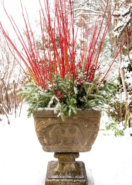 Limited time sale easy return. Winter Container Garden Ideas - FlowerChick.com