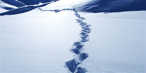 Footprints In The Snow Wallpapers High Quality Download Free