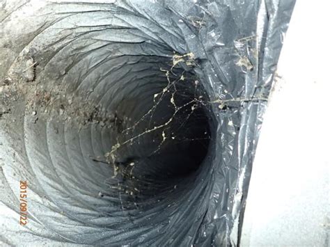 Whatever the job, you can trust stanley steemer to deliver. Duct Cleaning Near Dover, Bear, Wilmington | Air Duct ...