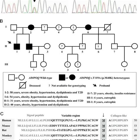 (2002) the relative strength of weight and length at birth in contrast to social factors as determinants of height at 18 years in brazil. Relative expression of adiponectin and adiponectin ...