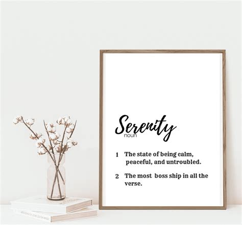 Serenity Funny Definition Quote Poster Firefly Quotes Etsy