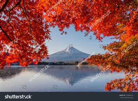 Mount Fuji Autumn Mount Fuji Japan Stock Photo 759980275 Shutterstock