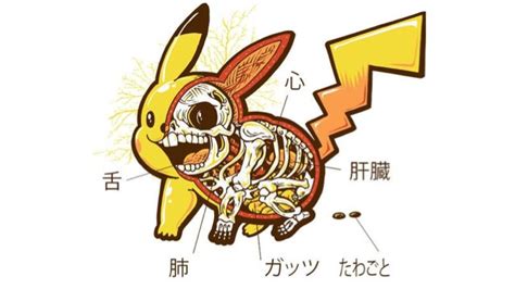 Another Look At Pikachus Bones Kotaku Australia