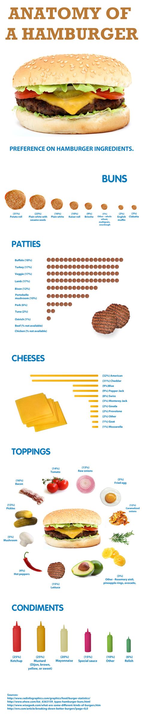 The Anatomy Of A Hamburger Infographic