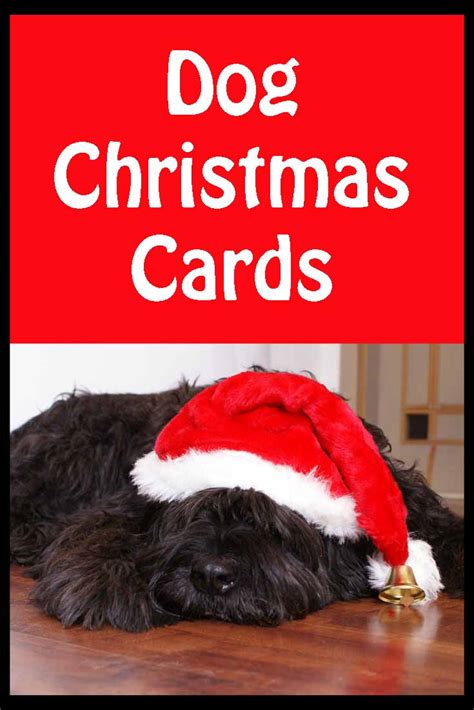 Choose from our two new designs featured below. Dog Christmas Cards - The Cool Card Shop