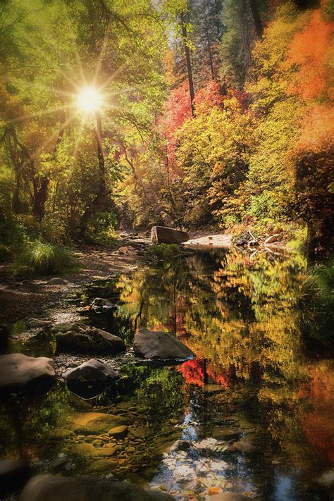 Reflecting On Autumn Photograph By Saija Lehtonen Fine Art America