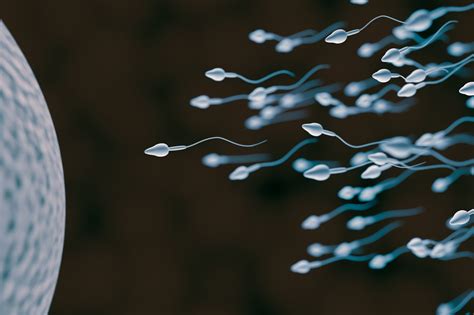 Covid 19 May Lower Sperm Counts Small Study Finds Live Science
