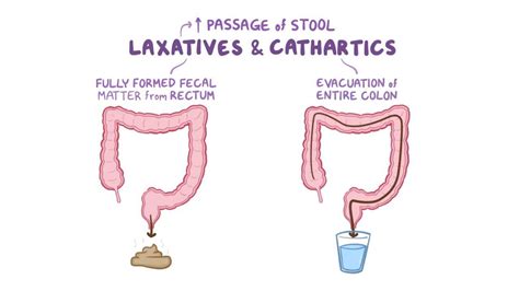 What Are Laxatives Health Advice News Resources And Lifestyle