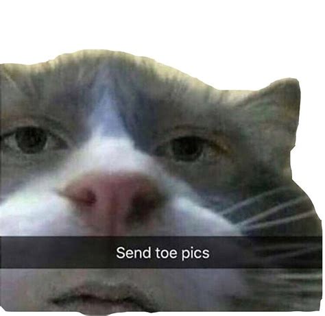 Send Toe Pics By Sofialscarselli Redbubble