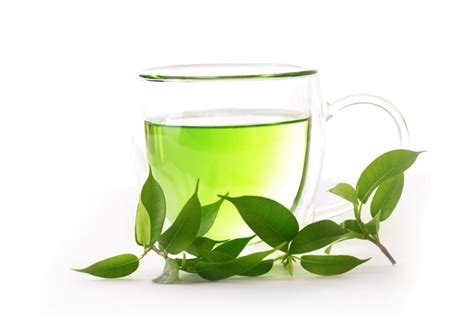 Berikut waktu yang tepat minum teh hijau untuk mendapat manfaat maksimal. .: The Love Dimension :.: BILAKAH MASA YANG BETUL UNTUK ...
