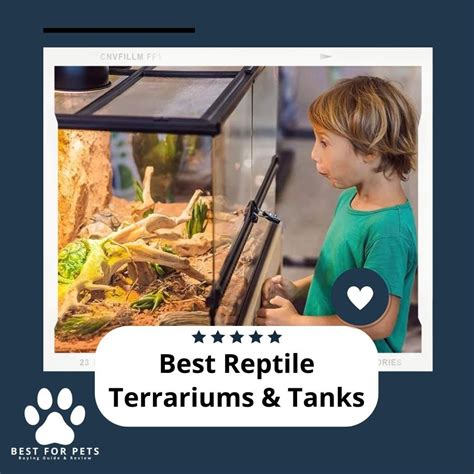 The 10 Best Reptile Terrariums And Tanks