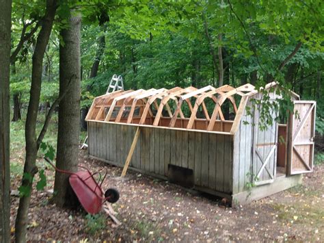 A Neglected Backyard Shed Gets Made Over Into A Russian