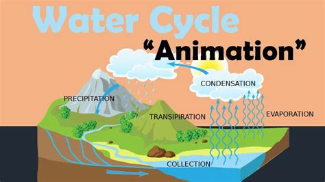 Water Cycle Biology Animation Youtube