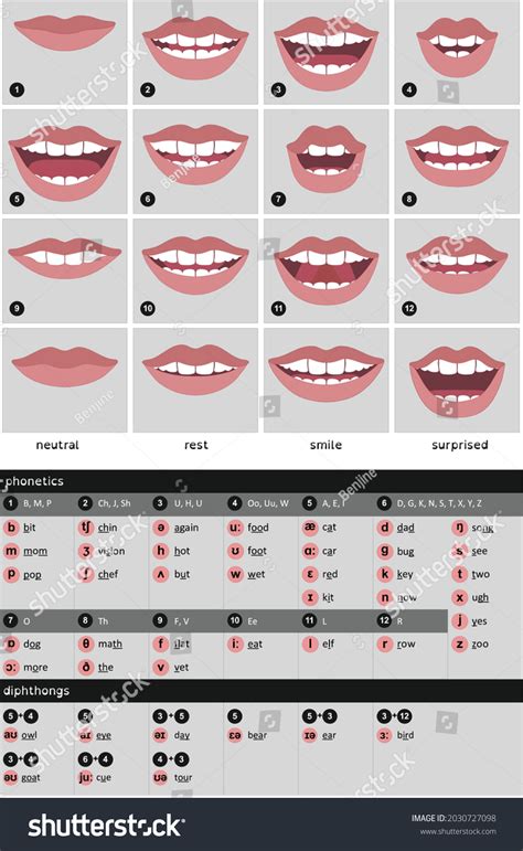 2d 캐릭터 애니메이션을 위한 Viseme Mouth 스톡 벡터로열티 프리 2030727098 Shutterstock