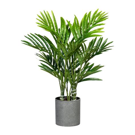 Join pslme on roblox and explore together! Die Saisontruhe Kunstpflanze Palme im Topf | Wayfair.de