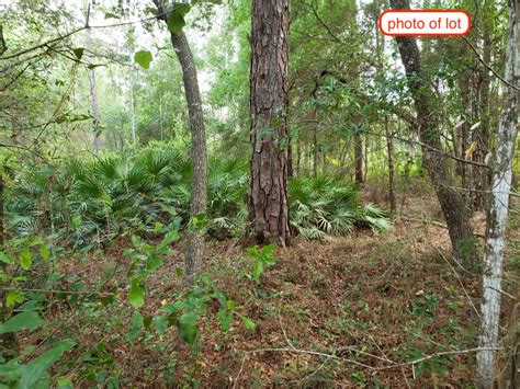 This is true for ocala national forest, located just north of orlando, which has quick access from many major metro areas, sandy beaches, and of course, theme parks. Lakefront Lot Near Ocala National Park $4,800 ...