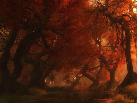 Image Detail For Free Spooky Autumn Forest Wallpaper Download The