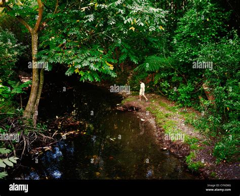 Boy Walks Along River Bank Stock Photo Alamy