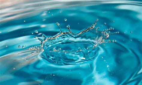 Check spelling or type a new query. Water Dripping Wallpapers - Wallpaper Cave