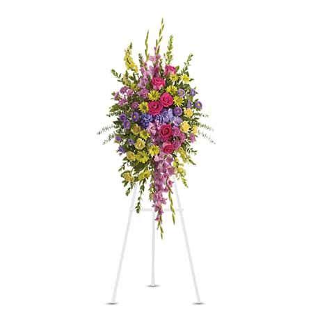 There is now a wealth of online flower companies across the states that offer. Only Dreaming Spray at Send Flowers | Funeral flowers ...