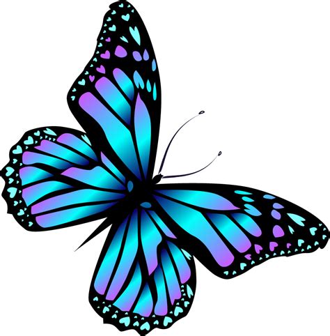 Monarch Butterfly Cartoon Blue Cartoon Blue Butterfly Png Download