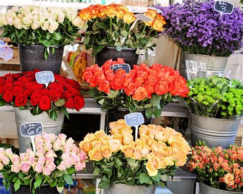 Flower Market In Paris Photograph Colorful French Home Decor Photo