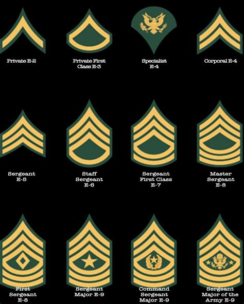 美国陆军士兵和士官军衔与晋升制度 知乎