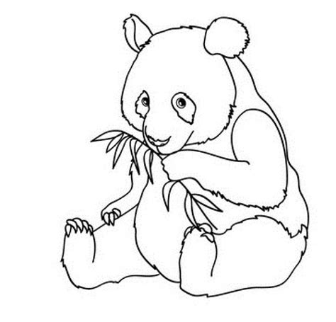 Panda coloring page from giant panda category. Panda Pictures To Print - Coloring Home