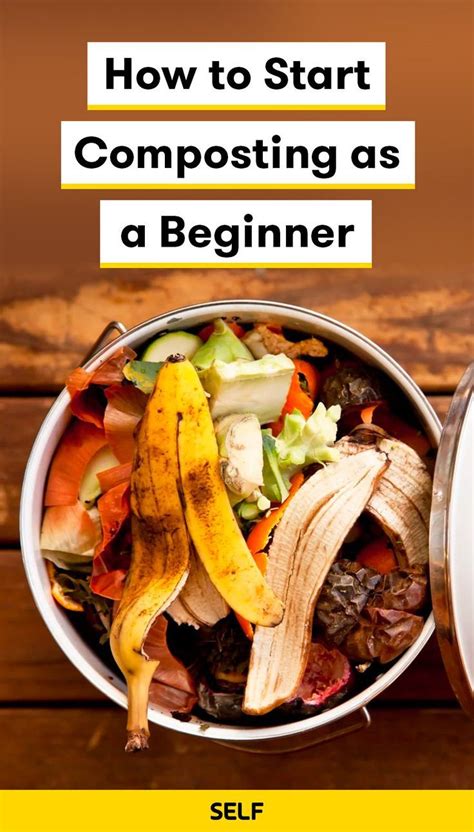 How To Start Composting At Home According To Experts How To Start