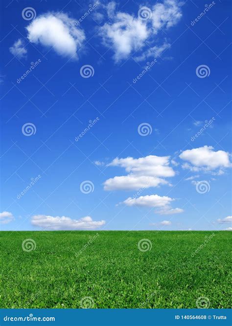 Idyll Green Field And Blue Sky With White Clouds Stock Photo Image