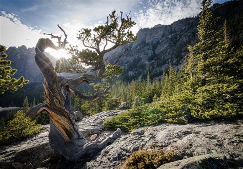 Rocky Mountain National Park Wallpaper 56 Pictures