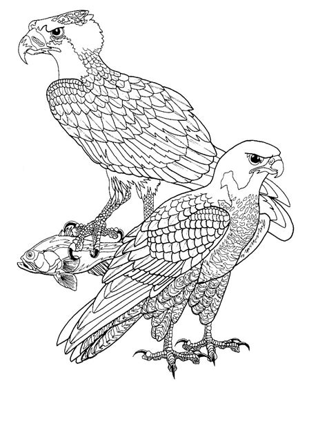 Kleurplaten Vogels Bewegende Afbeeldingen, Gifs & Animaties 100 GRATIS!