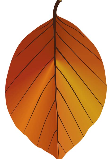 Download Autumn Leaf Leaf Yellow Leaf Royalty Free Stock Illustration