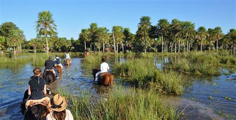 Complejo Camba Cua Esteros Del Iberá Corrientes Argentina ~