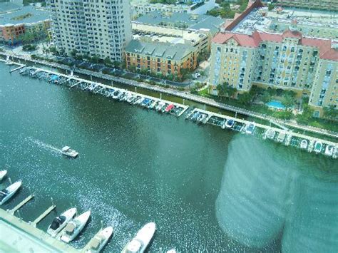 Marina Below Italian Restaurant Across Picture Of Tampa Marriott