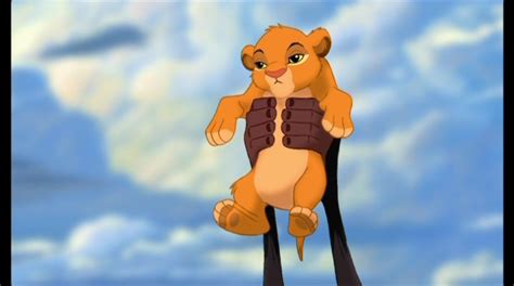 Do You Believe That Simba And Nala Had A Cub Before Kiara Poll Results