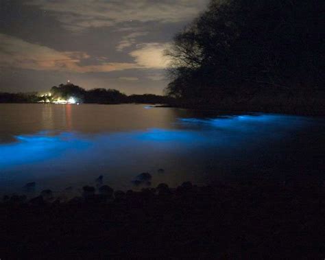 Costa Rica Bioluminescence Kayak In Paquera Bay