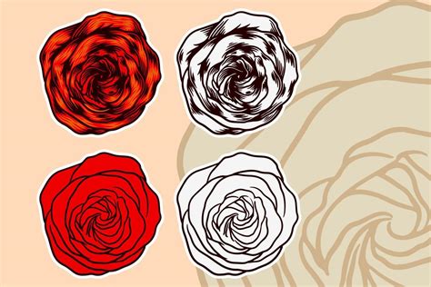 Rose Flower Vector Illustration Set 10424473 Vector Art At Vecteezy