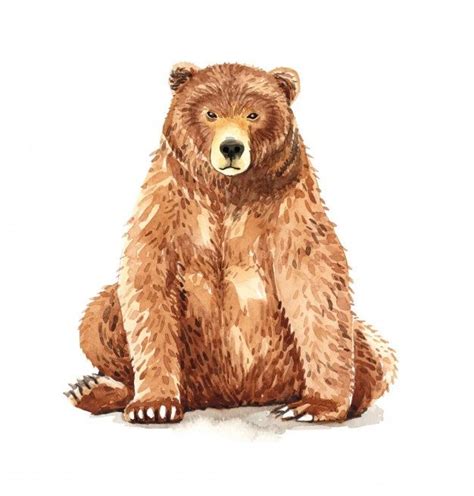 Premium Vector Sitting Bear Watercolor Painting Bear Watercolor